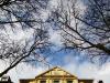Baumhaus.